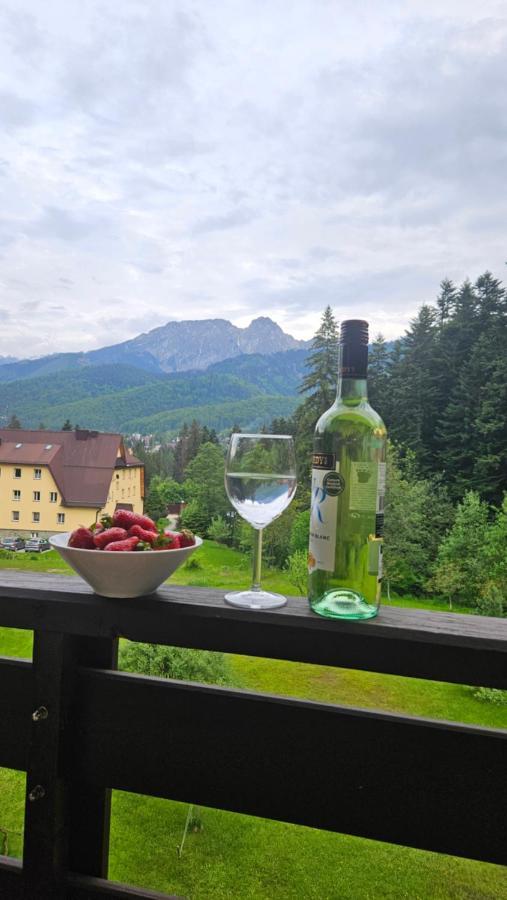 Apartment Klasyczny Z Widokiem Na Giewont Koscielisko